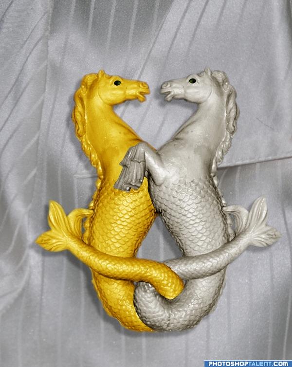 seahorses